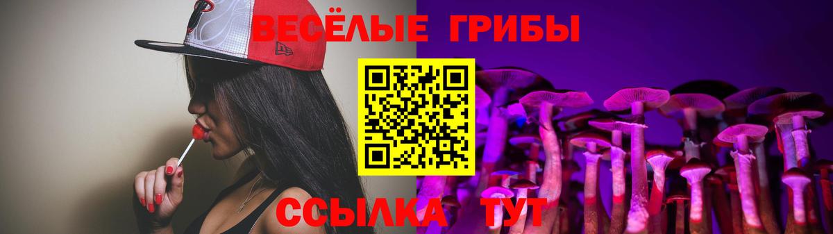 Чистополь  Псилоцибиновые грибы прущие грибы  Вход с VPN 